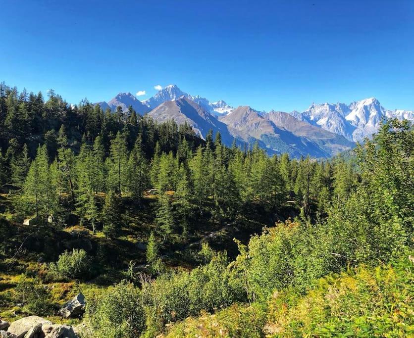 Appartamento Ampio Giardino Adiacente Piste Sci 4/6 Posti Letto La Thuile Eksteriør billede