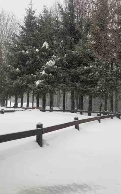 Appartamento Ampio Giardino Adiacente Piste Sci 4/6 Posti Letto La Thuile Eksteriør billede