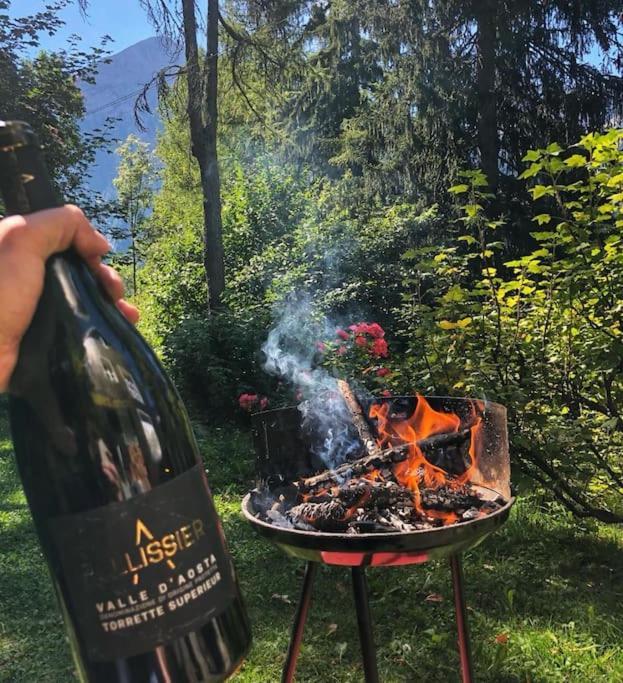 Appartamento Ampio Giardino Adiacente Piste Sci 4/6 Posti Letto La Thuile Eksteriør billede