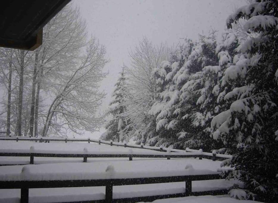 Appartamento Ampio Giardino Adiacente Piste Sci 4/6 Posti Letto La Thuile Eksteriør billede